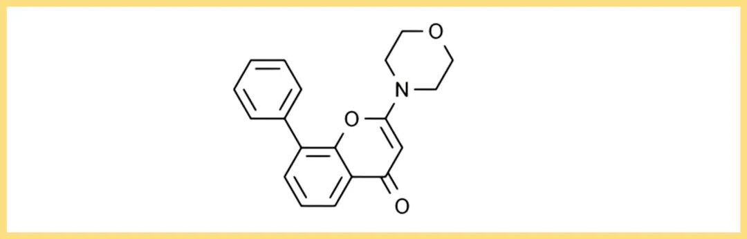 花香蝶自来 | Solarbio小分子化合物“优秀员工展