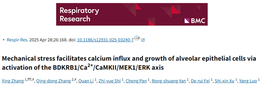 机械应力经激活BDKRB1-ERK轴促进钙内流和肺泡上皮细胞的生长