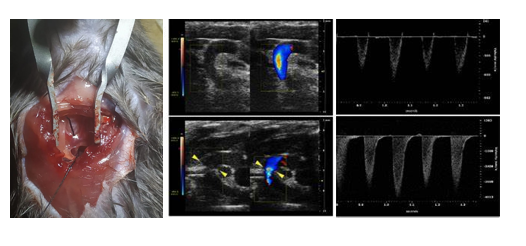 6389778310156957377788739