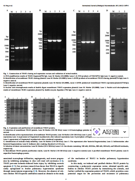 恒远生物|恭喜江西农业大学老师领取奖学金,SCI文献8.49分！