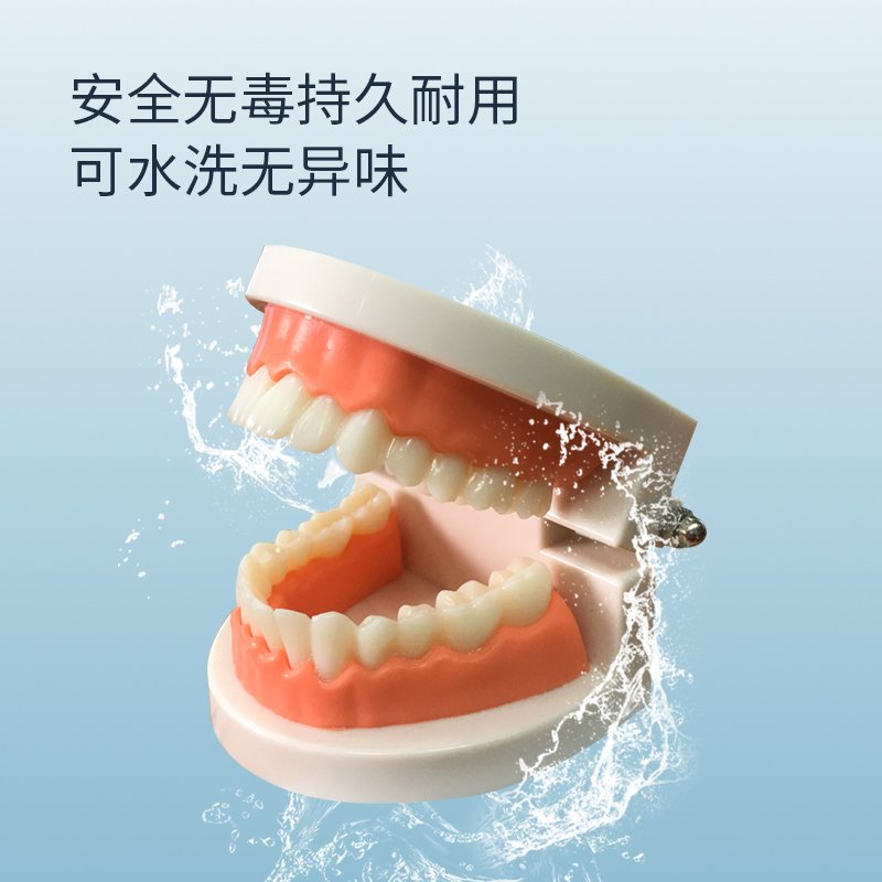 牙齿矫正模型 牙齿矫正模型