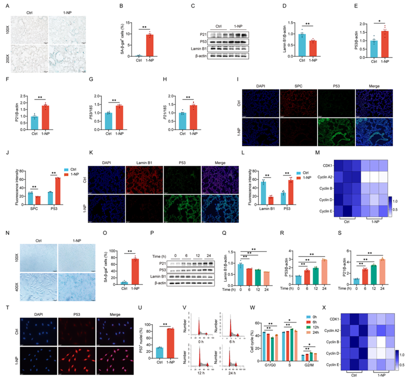 6390044197245253748405985