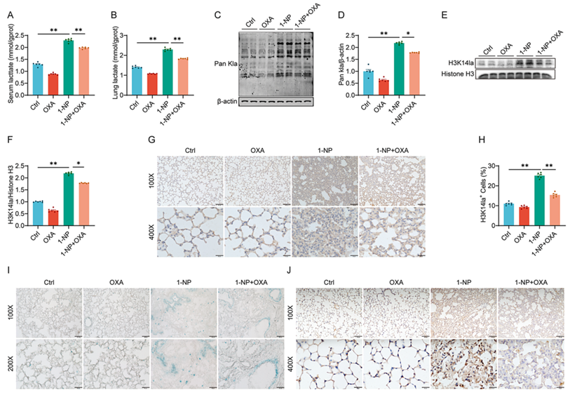 6390044216981411035004896