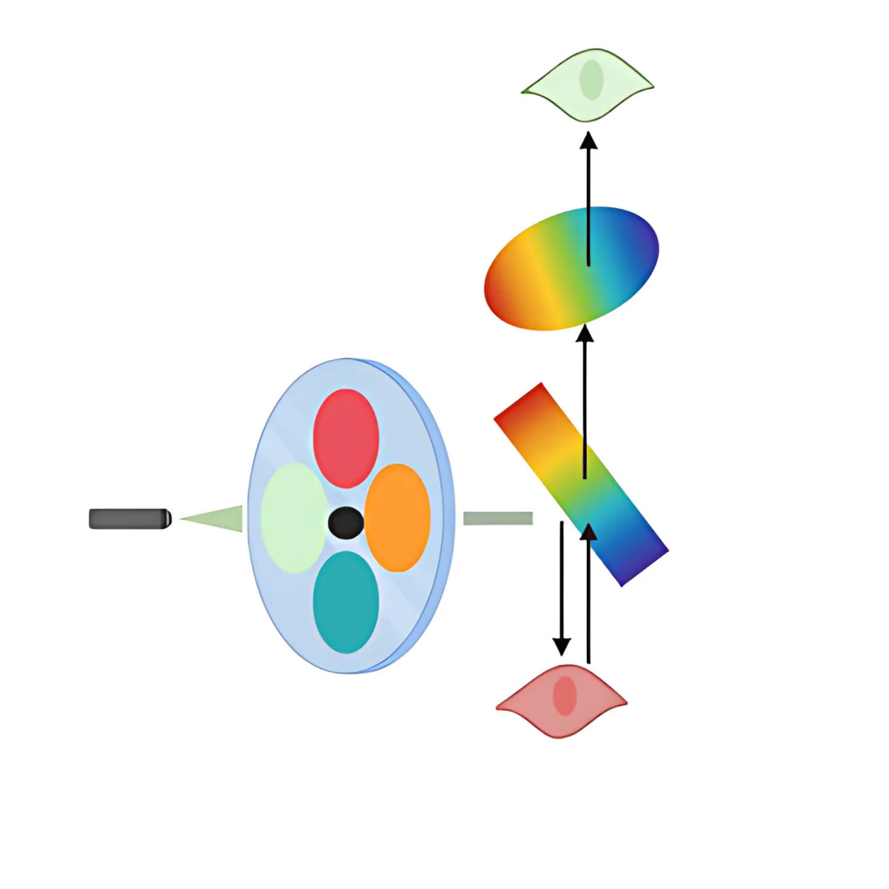 过滤光噪声、提升信号——荧光滤光片选型实战指南