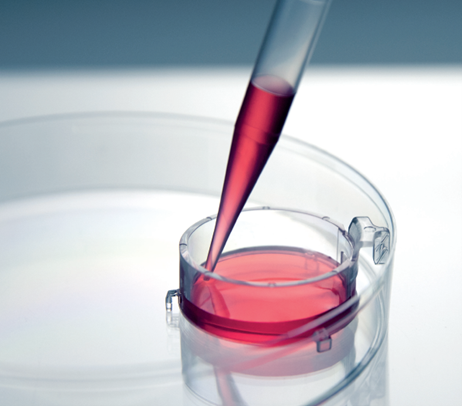 BRAND科研激勵計劃火熱進行中！