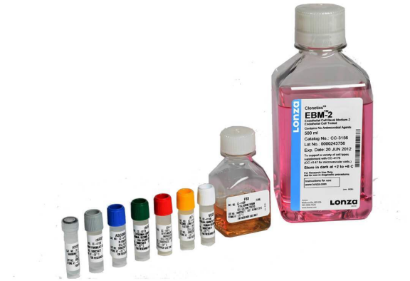 Lonza原代人肺成纖維細(xì)胞NHLF, Human Lung Fibroblasts產(chǎn)品介紹