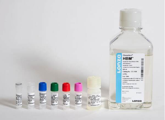 Lonza人原代肝臟細胞、肝臟非實質(zhì)細胞Human Hepatocytes產(chǎn)品介紹