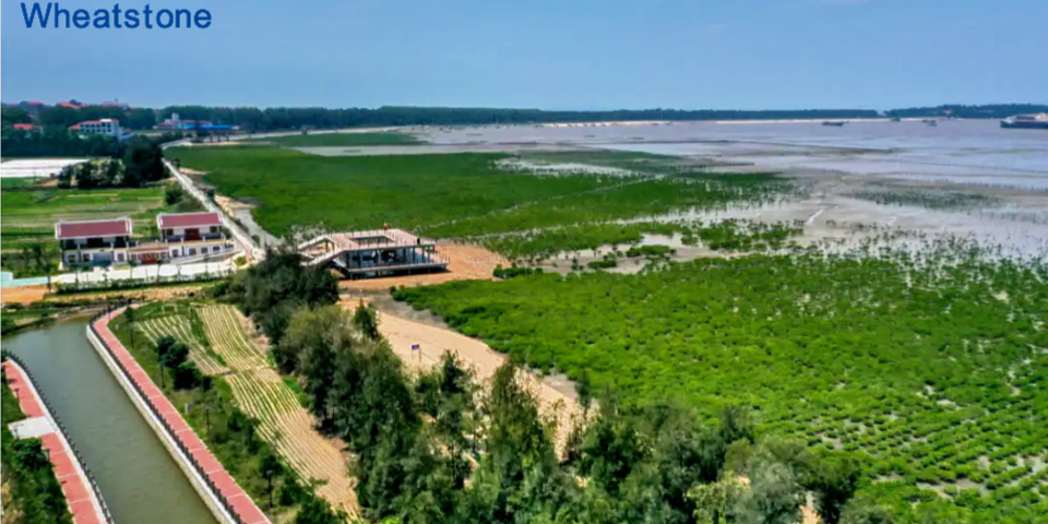 3123321213.png