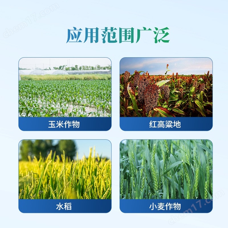 未標(biāo)題4251-1 (1).jpg