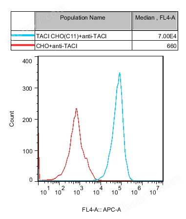 流式-74423.jpg TACI CHO