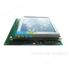 硅表/ 鈉表 / 磷表顯示屏