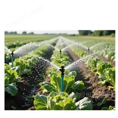 科研級智能灌溉解決方案