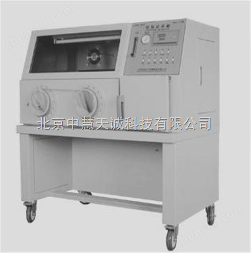 厭氧培養(yǎng)箱/厭氧培養(yǎng)裝置 型號：YQX-2