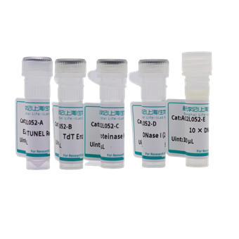 EZ 594 TUNEL细胞凋亡检测试剂盒（红色荧光）