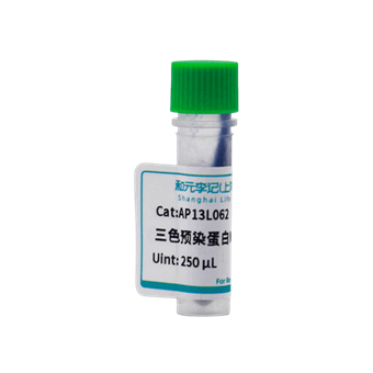 三色預(yù)染蛋白Marker（10-250KD）