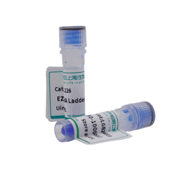 EZ50 DNA Ladder (50-1000bp)