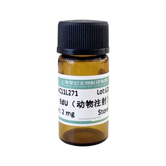 EdU（動物注射）