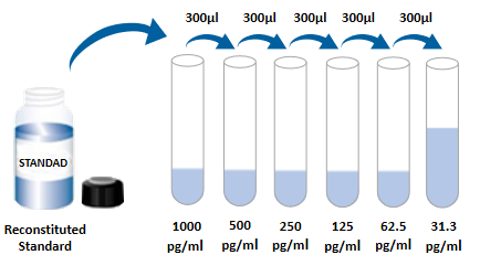 Mouse IL-10 ELISA Kit