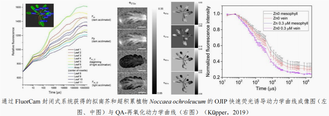 37.png FluorCam封閉式葉綠素?zé)晒獬上裣到y(tǒng)